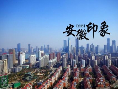 安徽醫(yī)院健康碼安康碼人臉測(cè)溫閘機(jī) 哪家好？?jī)r(jià)格怎么樣？代理招商，生產(chǎn)廠家，價(jià)格，哪家好，多少錢，品牌，報(bào)價(jià)，廠家，哪個(gè)公司好